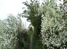 Courage Coaching, consultants.